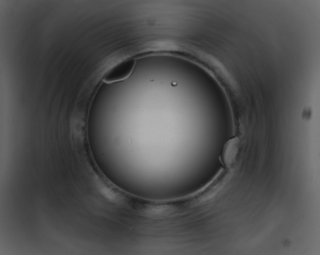 X0000101971225200807181056
