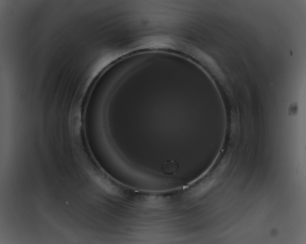 X0000101971226200807181056