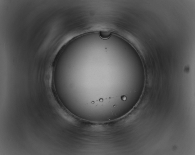 X0000101971227200807181056