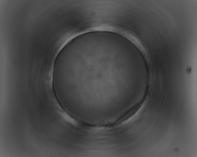 X0000101971228200807181056