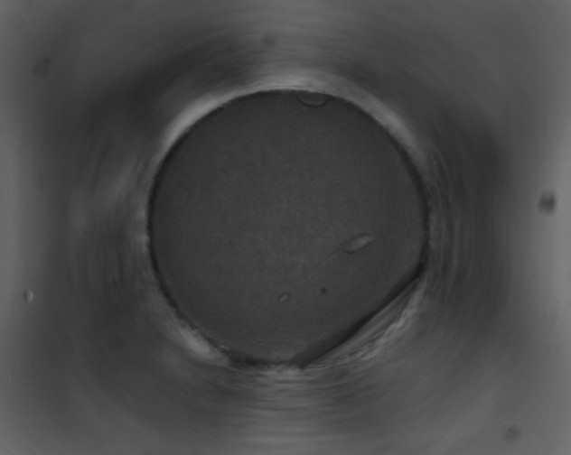X0000101971230200807181056