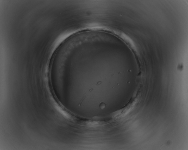 X0000101971231200807181057