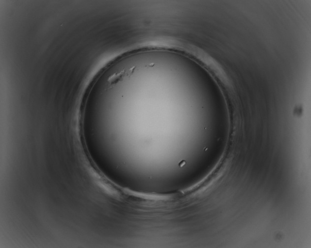 X0000101971232200807181057