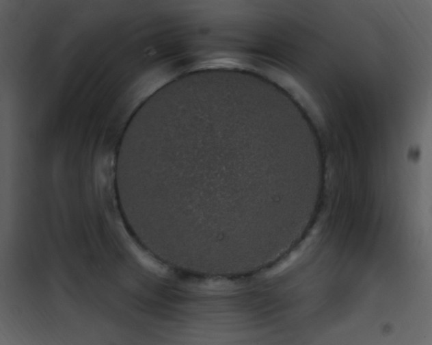 X0000101971233200807181057