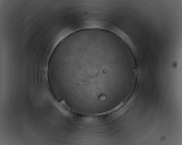 X0000101971234200807181057
