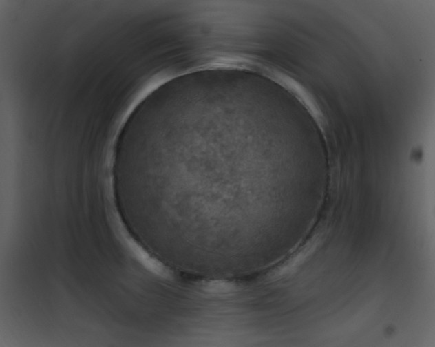 X0000101971235200807181057