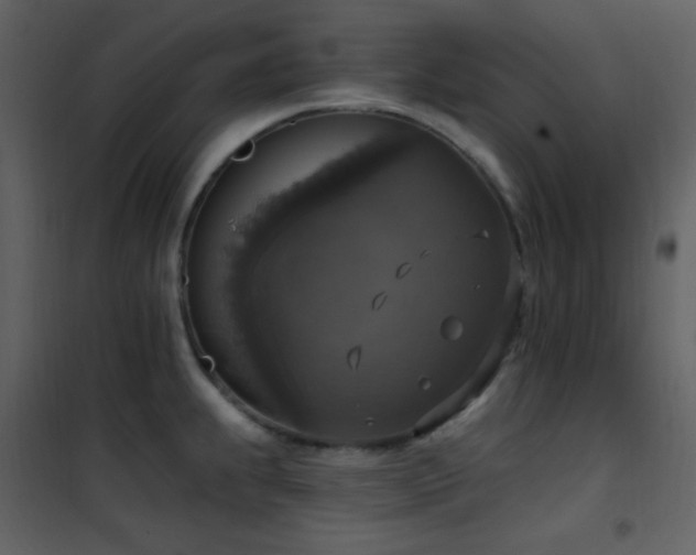 X0000101971239200807181057