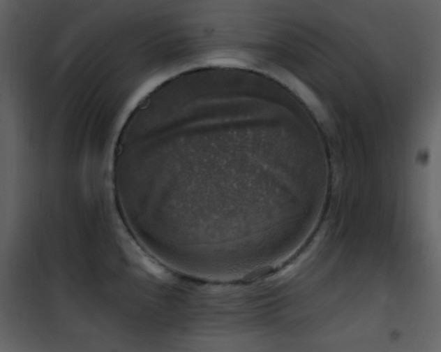 X0000101971240200807181057