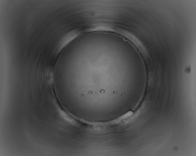 X0000101971241200807181057