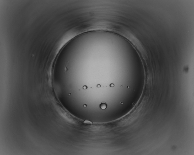 X0000101971242200807181057