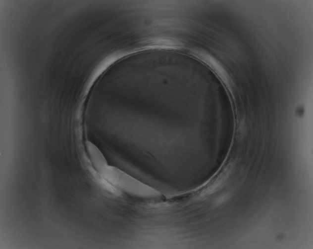 X0000101971243200807181057
