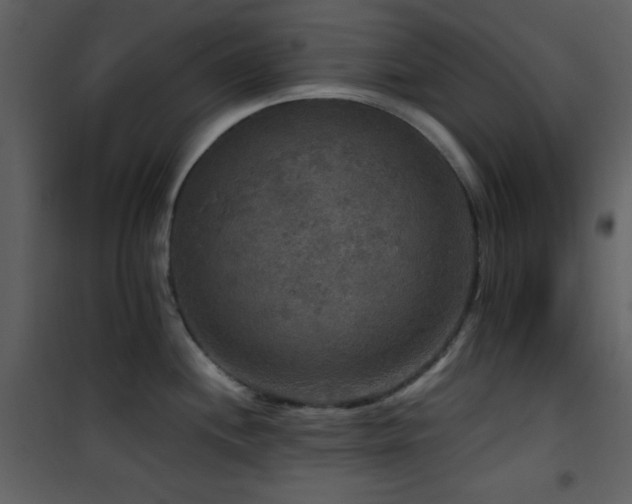 X0000101971244200807181057