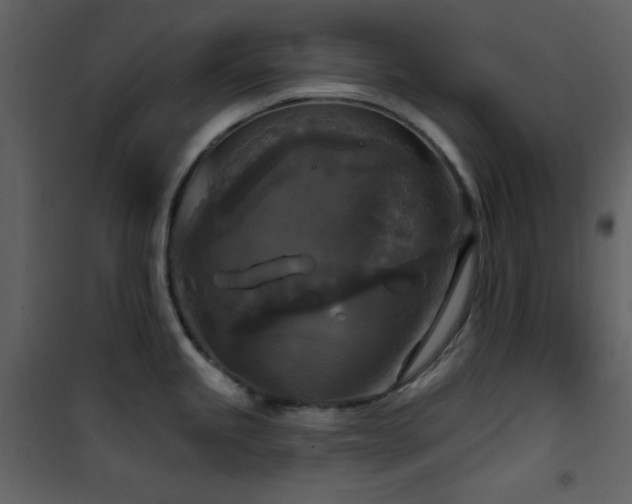 X0000101971245200807181057