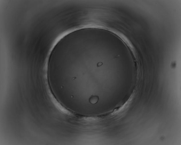 X0000101971246200807181057