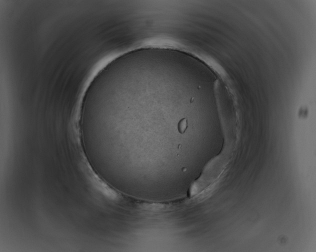 X0000101971248200807181057