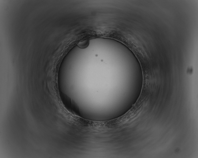 X0000101971249200807181056