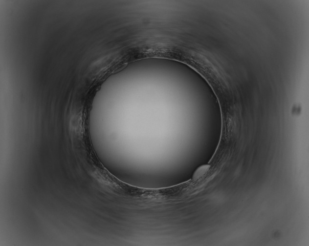 X0000101971250200807181056