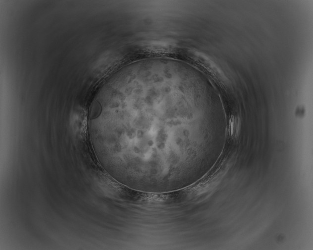 X0000101971251200807181056