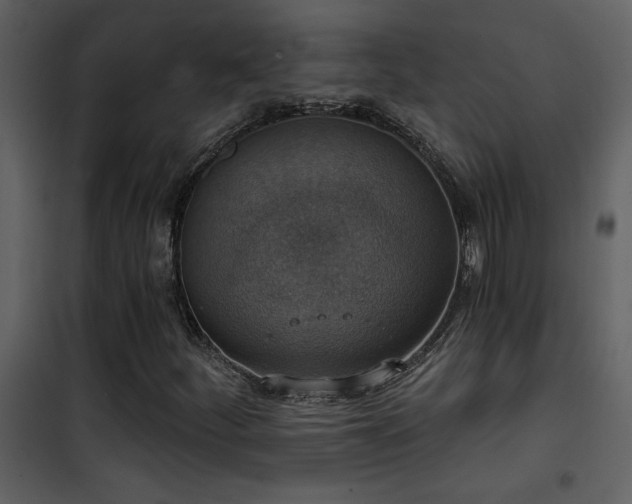 X0000101971252200807181056
