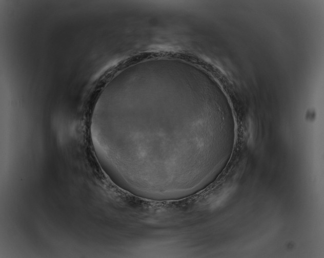 X0000101971254200807181056