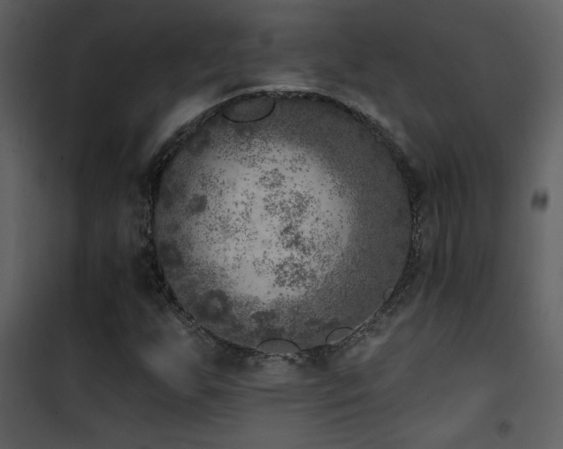 X0000101971255200807181056