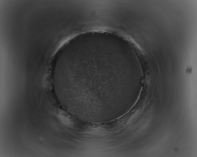 X0000101971256200807181056