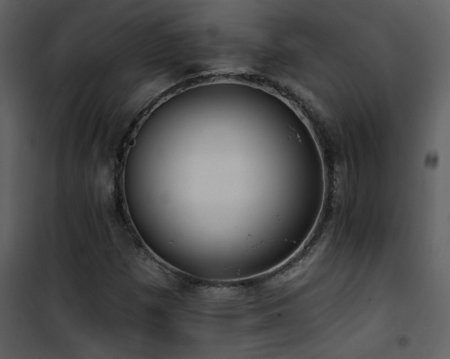 X0000101971257200807181056