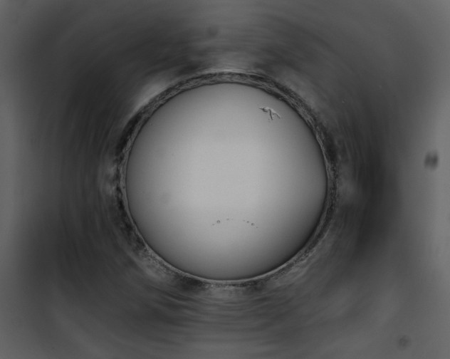 X0000101971258200807181056