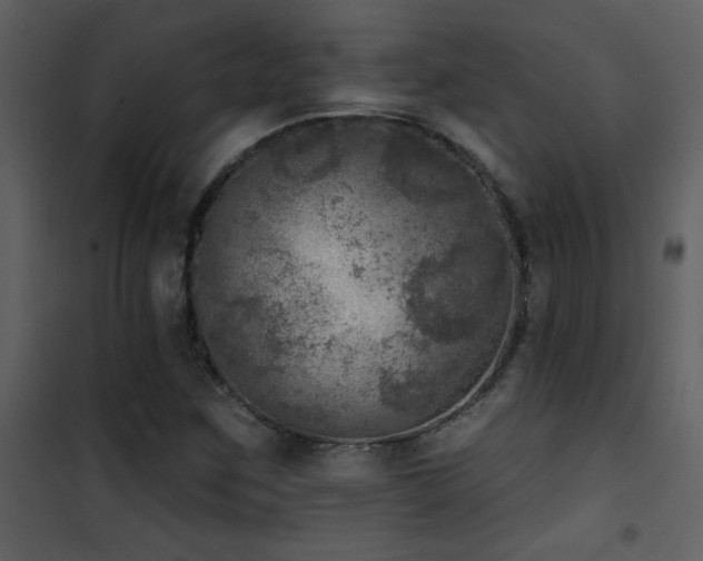 X0000101971259200807181056