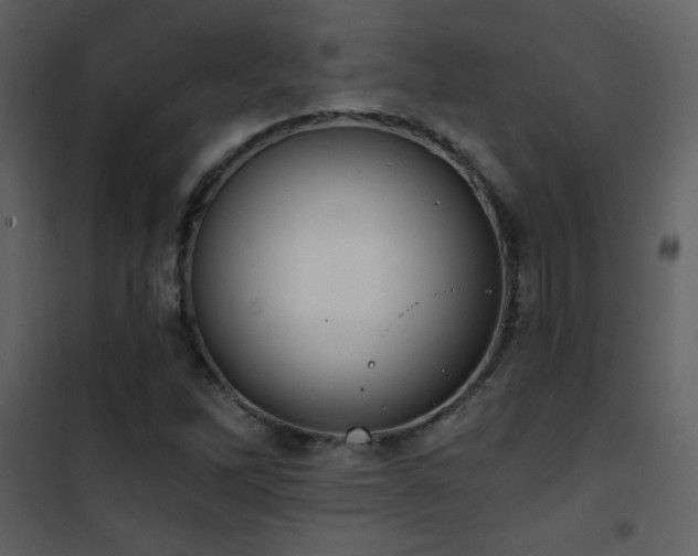 X0000101971262200807181056