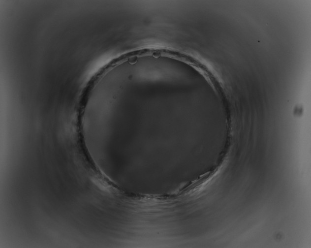 X0000101971263200807181056