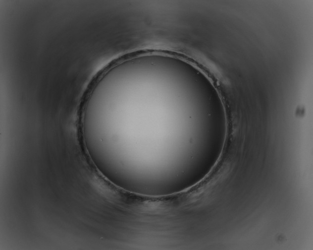 X0000101971264200807181056