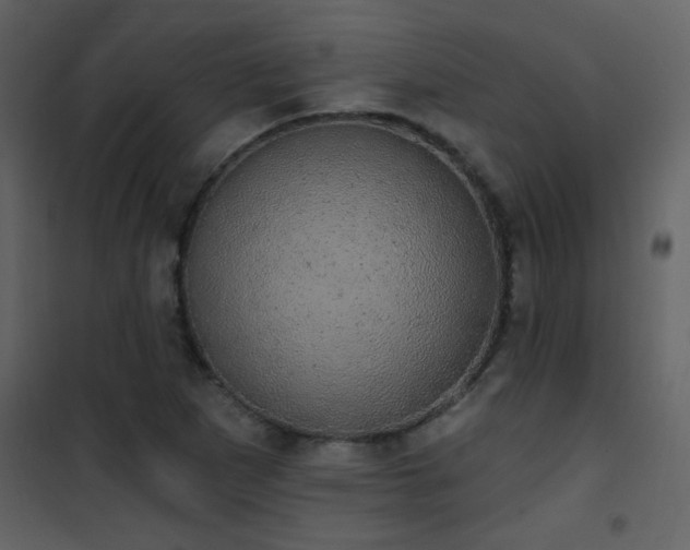 X0000101971265200807181056