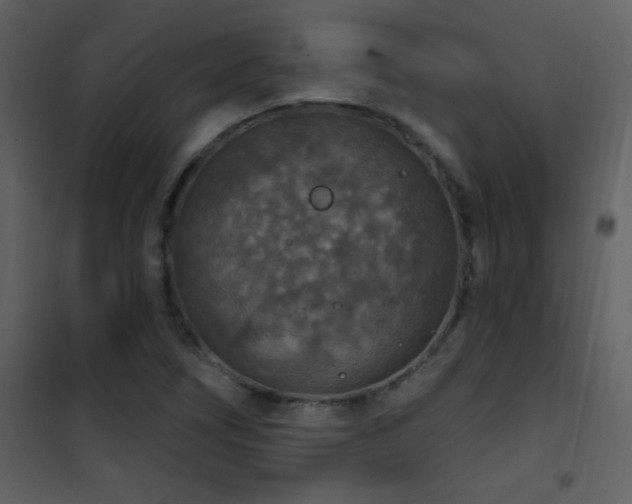 X0000101971266200807181056