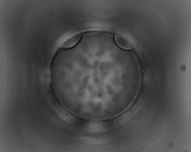 X0000101971267200807181056