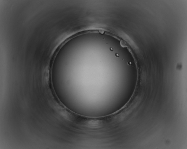 X0000101971268200807181056