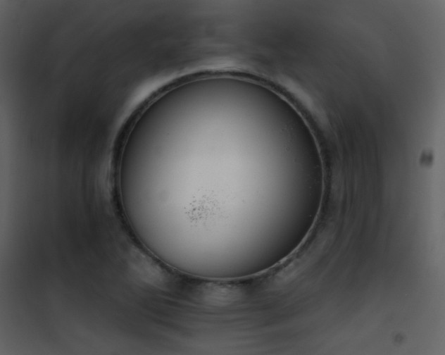 X0000101971270200807181056