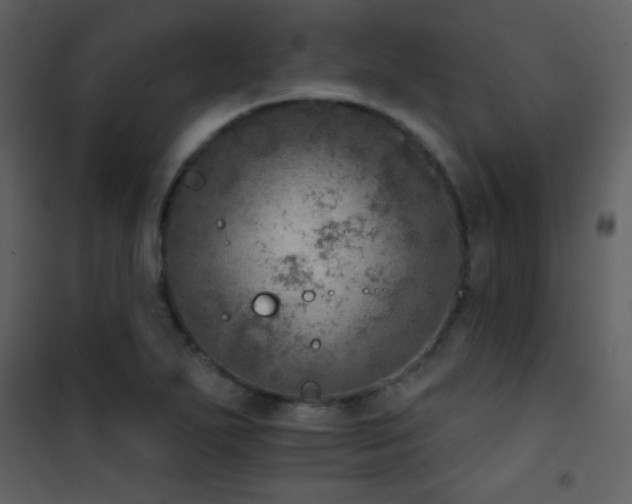 X0000101971271200807181056