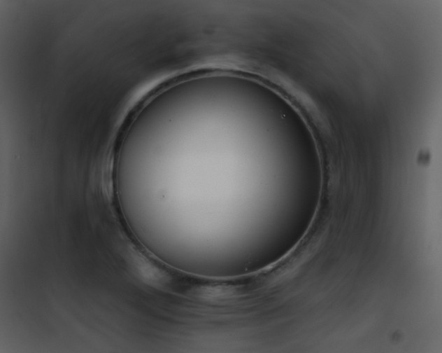 X0000101971272200807181056