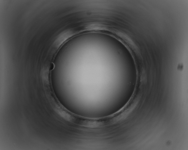 X0000101971273200807181056