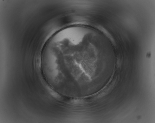 X0000101971274200807181056