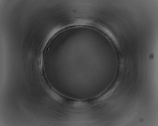 X0000101971275200807181056