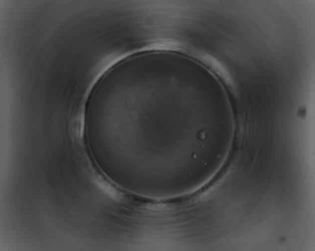 X0000101971276200807181056