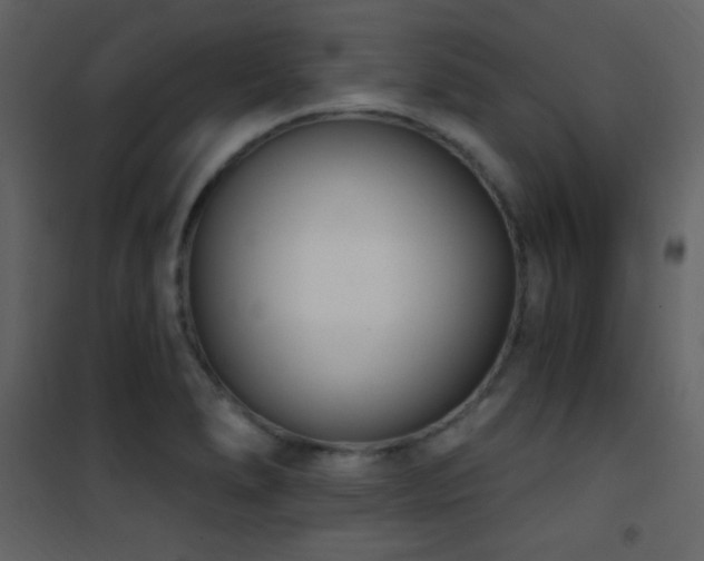 X0000101971278200807181056