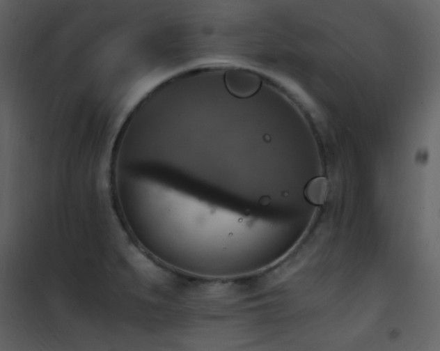 X0000101971279200807181056