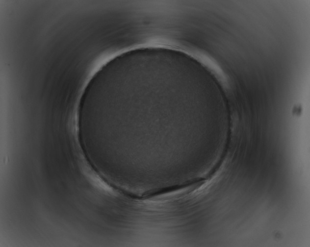 X0000101971280200807181056