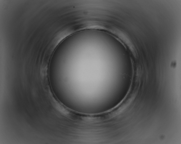 X0000101971281200807181056