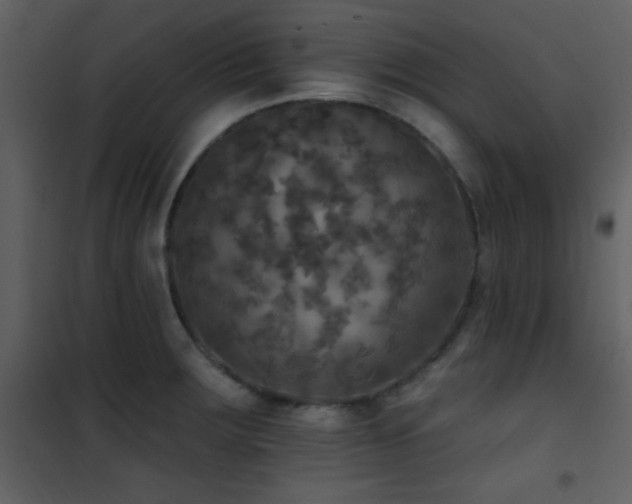 X0000101971283200807181055