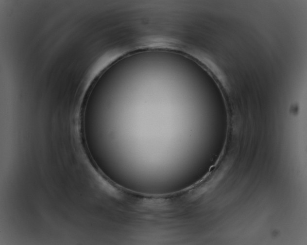 X0000101971285200807181055