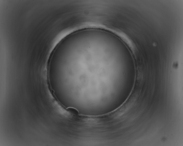 X0000101971287200807181055